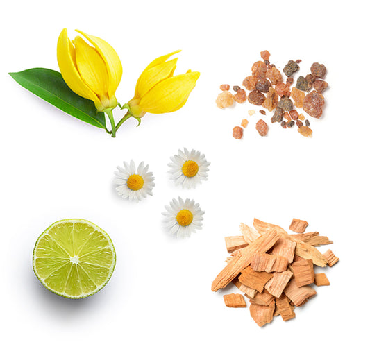 intune whats inside 1085x1050 ref eu