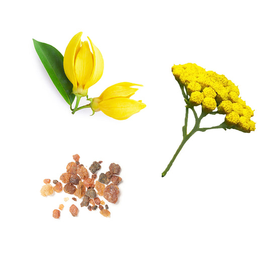 antiagingeyecream whats inside 1085x1050 eu