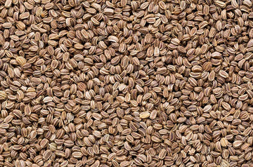 zellermag - celery seed