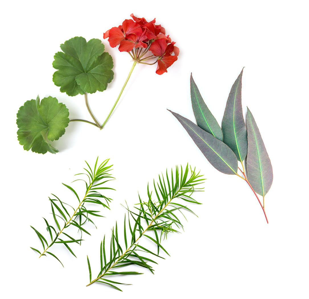 hdclear whats inside 1085x1050 eu