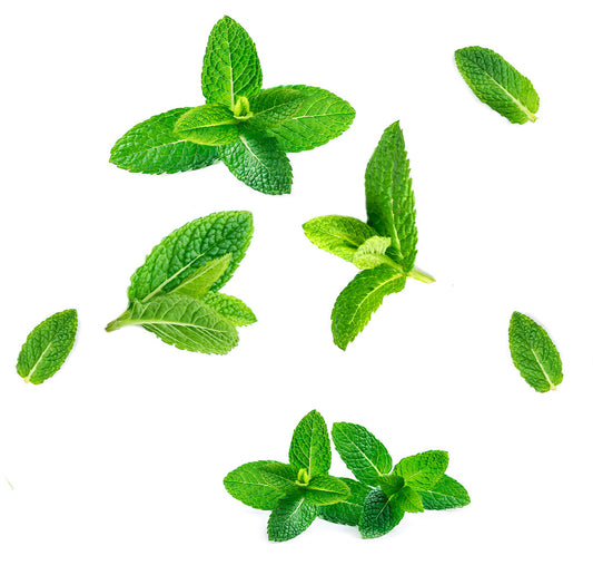 supermint toothpaste whats inside 1085x1050 eu