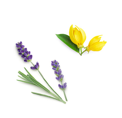 porereducingtoner whats inside 1085x1050 eu