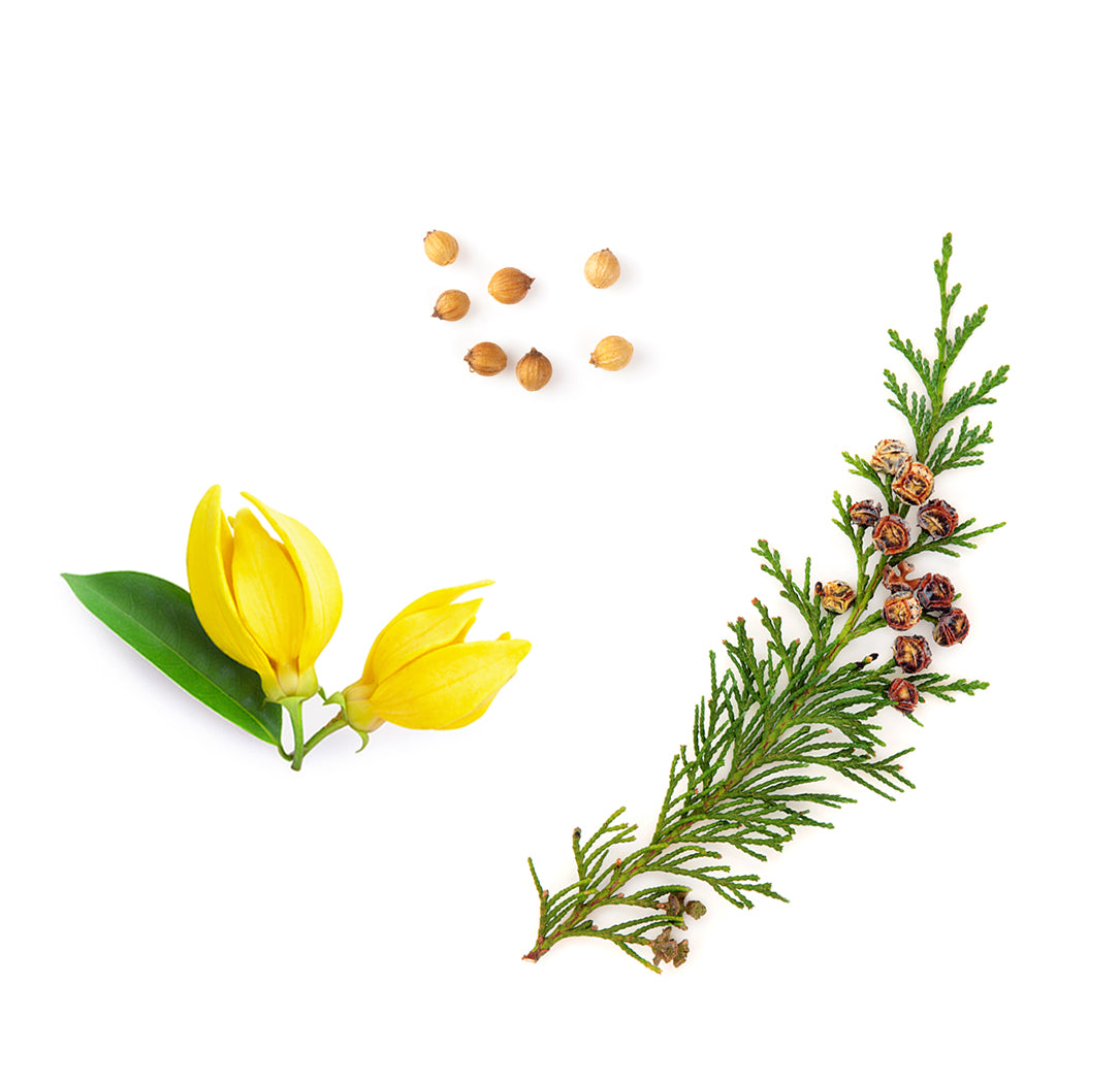 veragetoner whats inside 1085x1050 eu