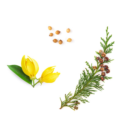 veragetoner whats inside 1085x1050 eu