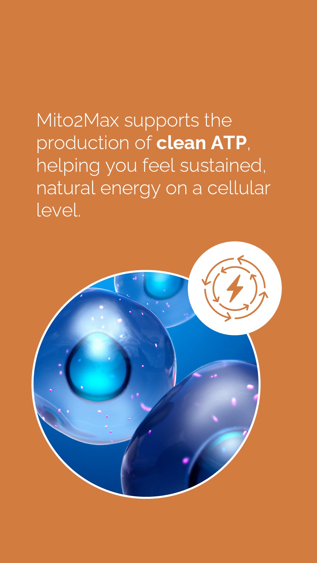 Doterra MetaPWR Mito2max zöldségkapszula