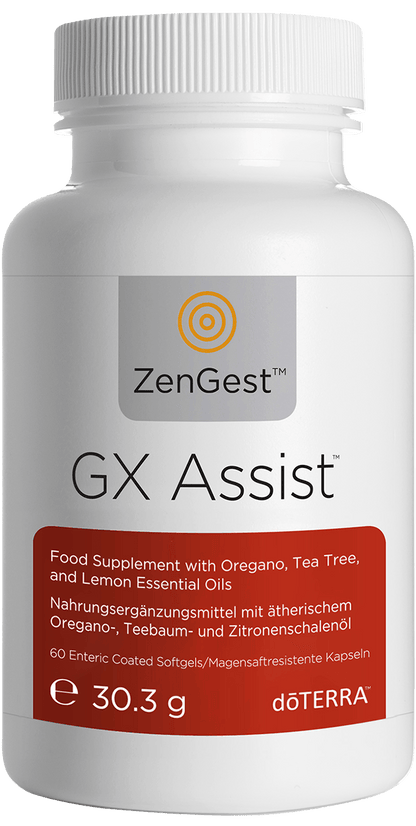 gx assist large 680x1350px eu